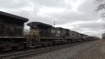 Dash Nines In Tow